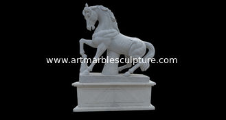 China Estatua de caballo de mármol de jardín al aire libre, esculturas de caballo de piedra para el parque proveedor