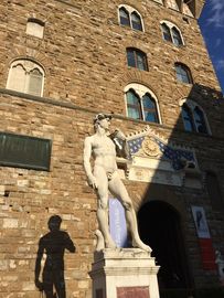 Escultura de mármol de David con 6 pies de altura proveedor