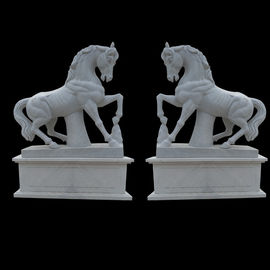 Estatua de caballo de mármol de jardín al aire libre, esculturas de caballo de piedra para el parque proveedor